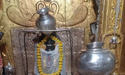 कोटड़ी चारभुजा दरबार के एकादशी अभिषेक दर्शन