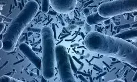 बाढ़ के पानी में पनपने वाले बैक्टीरिया है घातक, लोगों के पैर काटने की आ रही है नौबत