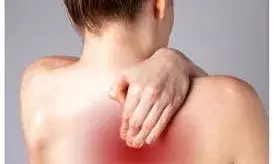 क्या पीठ का दर्द भी हार्ट अटैक का लक्षण हो सकता है? एक्सपर्ट्स से जानें