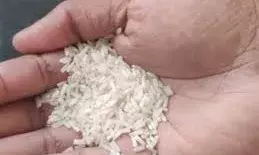 सरकार ने उसना चावल और भूरा चावल को निर्यात शुल्क से छूट दी सरकार ने उसना चावल और भूरा चावल को निर्यात शुल्क से छूट दी