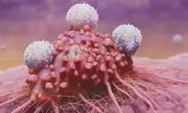 महिलाएं ही नहीं पुरुषों को भी हो सकता है ब्रेस्ट कैंसर, डॉक्टर ने बताए इसके ये लक्षण