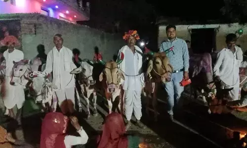 पूर्वजों की याद में गुर्जर समाज ने भरी छांटः , पूरे गांव के किसानों ने बेलों की पूजा कर मनाई दीपावली