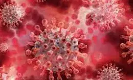 कोरोना के दौरान कई गुना बढ़ी डिस्लिपिडेमिया बीमारी, ये बन रही हार्ट अटैक का कारण