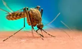 दूसरी बार हुआ डेंगू बन सकता है जानलेवा, न करें ये गलतियां