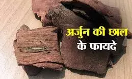 स्वास्थ्य के लिए काफी लाभकारी अर्जुन की छाल