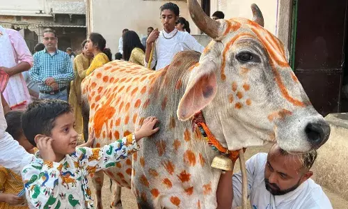 गौ प्रेम का पर्याय -श्री लाल बावा गौ प्रेम का पर्याय -श्री लाल बावा