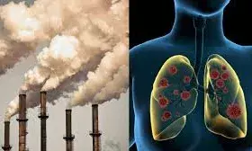सिर्फ फेफड़े ही नहीं शरीर के इन अंगों को भी खराब करता है प्रदूषण, ऐसे बनता है मौत का कारण