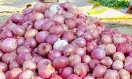 बढ़ते प्याज के दाम आखिर कब होंगे कम, ये प्लान भी नहीं आए काम; अब ये कह रही है सरकार