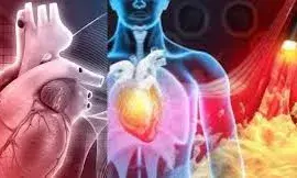 90 मिनट तक नहीं धड़का युवक का दिल, फिर मौत के मुंह से वापस जिंदगी को खींच लाए डॉक्टर 90 मिनट तक नहीं धड़का युवक का दिल, फिर मौत के मुंह से वापस जिंदगी को खींच लाए डॉक्टर