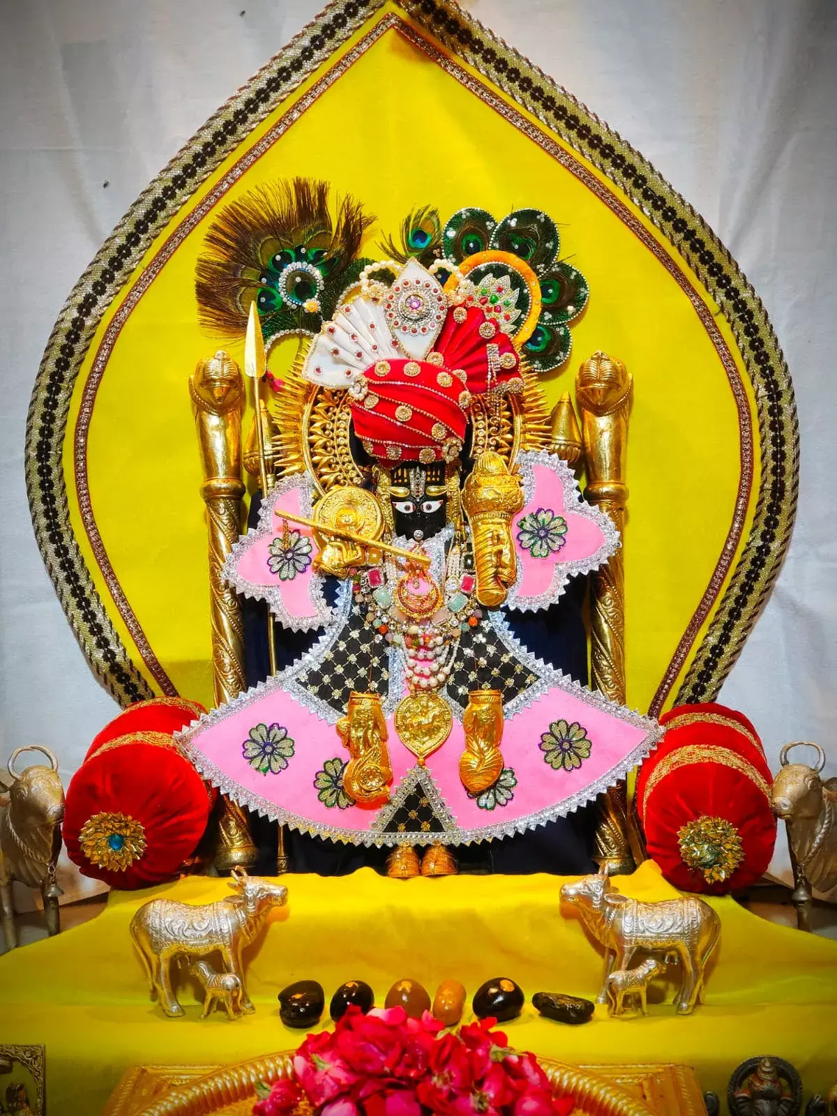 जय श्री कोटड़ी श्याम दरबार आज मंगला श्रृंगार आरती के दर्शन दिनांक     19-11-2024*