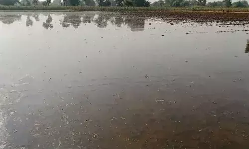 मेजा बांध की नहर को तोड़ी,  खेत बने दरिया