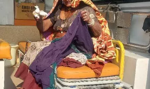 पागल श्वान ने महिला को काटा, किया लहूलुहान