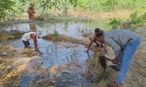 मांडल में नहरों और केनाल की सफाई नहीं होने से खेतों में नहीं पहुंच पा रहा पानी, किसान हो रहे है परेशान, पानी हो रहा है बर्बाद