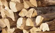 सर्दियों में जलाने की लकड़ी 78 रुपये प्रति क्विंटल महंगी, लोगों की बढ़ी चिंता; अब ये रहेंगे दाम