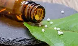 कितनी कारगर हैं मीठी गोलियां? जानें कैसे काम करती है होम्योपैथी कितनी कारगर हैं मीठी गोलियां? जानें कैसे काम करती है होम्योपैथी