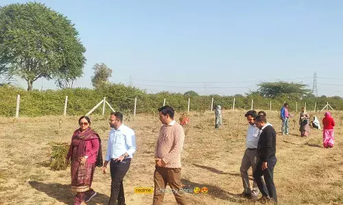 प्रभारी सचिव राजोरिया ने जहाजपुर में मिड-डे मील शहरी नरेगा कार्य किया निरीक्षण