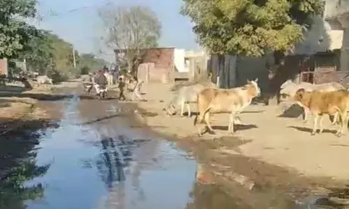 छात्र छात्राएं कीचड़ में निकलने को मजबूर सरपंच,सचिव की मनमानी से हालत  खराब