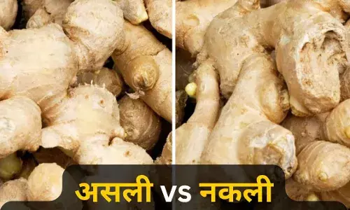 ठंड में चाय का मजा न बन जाए कैंसर की वजह! बाजारों में बिक रहा नकली अदरक ठंड में चाय का मजा न बन जाए कैंसर की वजह! बाजारों में बिक रहा नकली अदरक