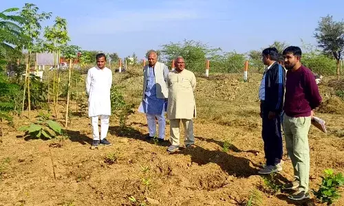 पीपलूंद चारागाह का राष्ट्रीय स्वयंसेवक संघ के वरिष्ठ अधिकारियों ने किया निरीक्षण