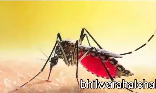 मलेरिया का मिल गई नई वैक्सीन; प्रशिक्षण का पहला चरण सफल मलेरिया का मिल गई नई वैक्सीन; प्रशिक्षण का पहला चरण सफल