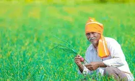 क्या किसानों को मिलने वाली किस्त में हो सकती है बढ़ोतरी? जानें क्या है सरकार का प्लान