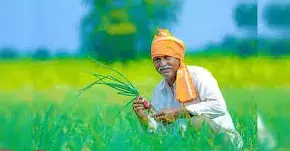 किसानों को मिलेगी सीएम किसान सम्मान निधि की दूसरी किस्त