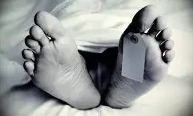 टहनियां काटते पेड़ से गिरे बुजुर्ग की मौत