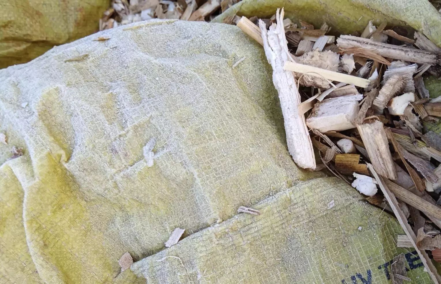 सवाईपुर क्षेत्र में सर्दी का सितम, जमीं बर्फ