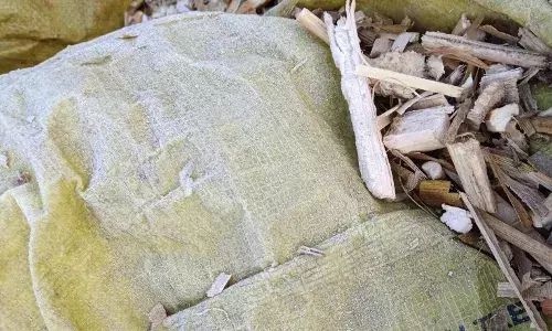 सवाईपुर क्षेत्र में सर्दी का सितम, जमीं बर्फ