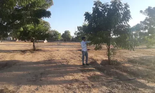 प्रकृति प्रेमी अनोप भाम्बु-हरियाली के सजग प्रहरी, सैकड़ों पेड़ लगा चुके हैं