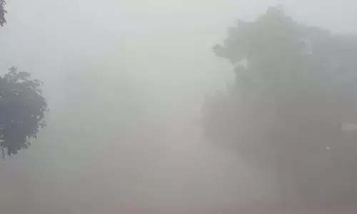 मांडलगढ़ क्षेत्र में छाया घना कोहरा छाया रहा