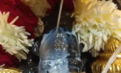 जय श्री कोटड़ी श्याम दरबार आज एकादशी अभिषेक दर्शन जय श्री कोटड़ी श्याम दरबार आज एकादशी अभिषेक दर्शन