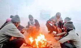 सर्दी का कहर जारी, कुल्लू मनाली व शिमला से भी ठंडा रहा प्रयागराज, यूपी में दूसरे स्थान पर