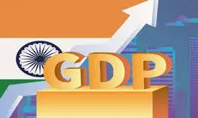 भारतीय अर्थव्यवस्था की वृद्धि दर पर सरकार ने जताया अनुमान, पिछली बार की तुलना में हुई बड़ी कटौती भारतीय अर्थव्यवस्था की वृद्धि दर पर सरकार ने जताया अनुमान, पिछली बार की तुलना में हुई बड़ी कटौती