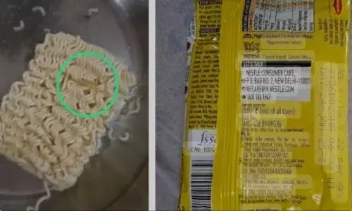 मैगी के पैकेट में मिले थे कीड़े, ग्राहक को देना होगा 50 हजार रुपये मुआवजा