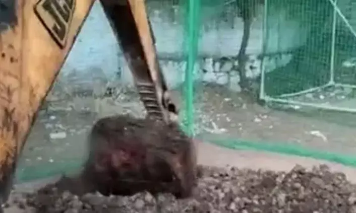 कांग्रेस के प्रदेश महासचिव अमीन पठान की क्रिकेट एकेडमी पर चला बुलडोजर कांग्रेस के प्रदेश महासचिव अमीन पठान की क्रिकेट एकेडमी पर चला बुलडोजर