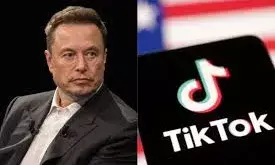 अमेरिका में प्रतिबंध से बचने के लिए टिकटॉक को एलन मस्क को बेचने पर विचार कर रहा चीन, रिपोर्ट में दावा अमेरिका में प्रतिबंध से बचने के लिए टिकटॉक को एलन मस्क को बेचने पर विचार कर रहा चीन, रिपोर्ट में दावा