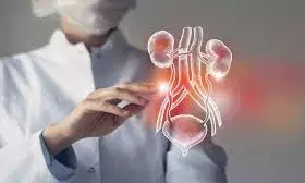 देश में पहली बार किडनी बाइलेटरल विल्म्स ट्यूमर की हुई सर्जरी, क्या है ये बीमारी? देश में पहली बार किडनी बाइलेटरल विल्म्स ट्यूमर की हुई सर्जरी, क्या है ये बीमारी?