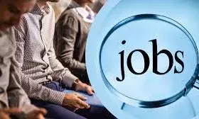 भारत में नौकरियों पर हुई शोध में चिंता बढ़ाने वाले खुलासे, आवेदन से पहले सावधानी क्यों जरूरी? जानें