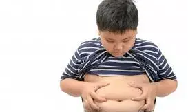 बच्चों में बढ़ता मोटापा कितना खतरनाक, इसको कैसे करें कंट्रोल? डॉक्टर से जानें बच्चों में बढ़ता मोटापा कितना खतरनाक, इसको कैसे करें कंट्रोल? डॉक्टर से जानें