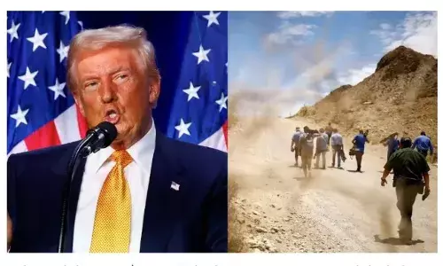 538 अवैध प्रवासी गिरफ्तार; एक आतंकवादी को भी पकड़ा