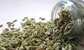 बिना ब्रश किये ही चबा लें ये सौंफ के दाने, सेहत को होंगे कमाल के फायदे