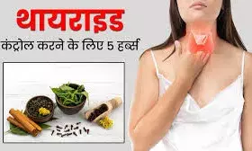 इन 4 फूड्स को अपनी डाइट में करें शामिल,थायराइड रहेगी कंट्रोल में