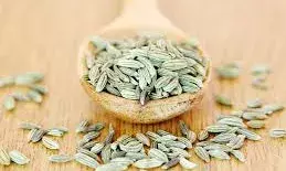 बिना ब्रश किये ही चबा लें ये सौंफ के दाने, सेहत को होंगे कमाल के फायदे