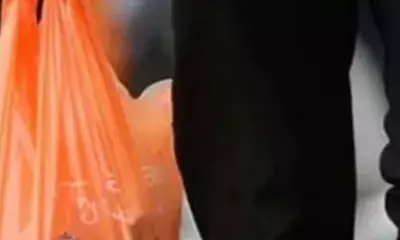 प्लास्टिक बैग, मल्टीलेयर पैकेजिंग को लेकर भारत में बदलने जा रहे नियम