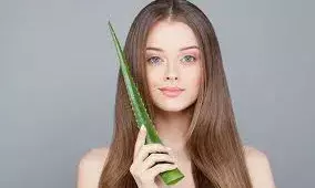 क्या सिर में एलोवेरा जेल लगाने के बाद शैंपू से बाल धोने चाहिए? जानिए एक्सपर्ट का जवाब