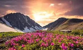 पहाड़ से समंदर तक…नेचुरल ब्यूटी के कायल हो जाएंगे, जब भारत की इन जगहों पर जाएंगे