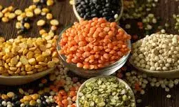 मूंग, मसूर या चना… किस दाल में सबसे ज्यादा प्रोटीन होता है?