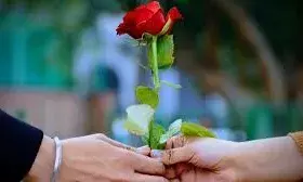 कब और क्यों मनाया जाता है रोज डे? पार्टनर के लिए ऐसे खास बनाएं दिन