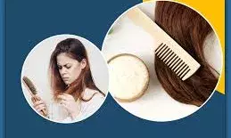 क्या आप भी झड़ते बालों से पाना चाहते हैं छुटकारा? आज ही डाइट में शामिल करें ये 5 चीजें